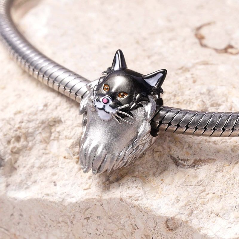 Maine Coon Cat Charm