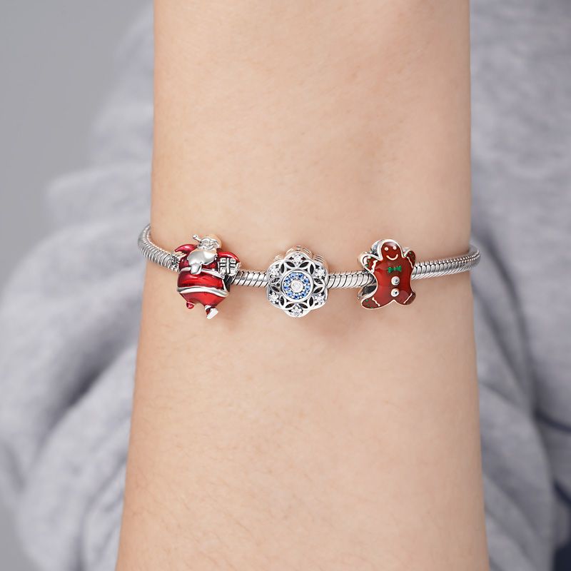 Snowflakes Charm