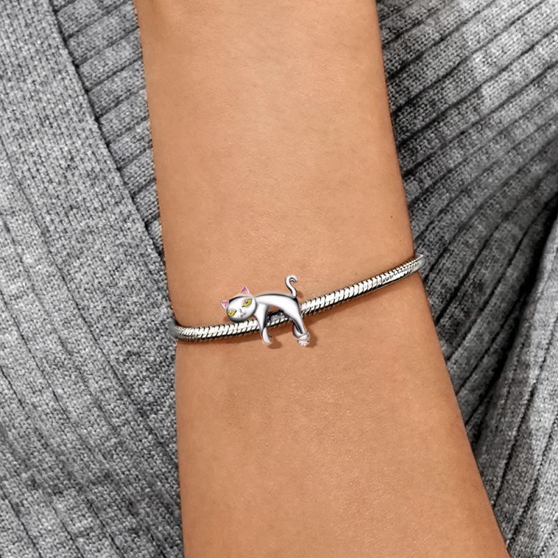 Lazy Cat Charm