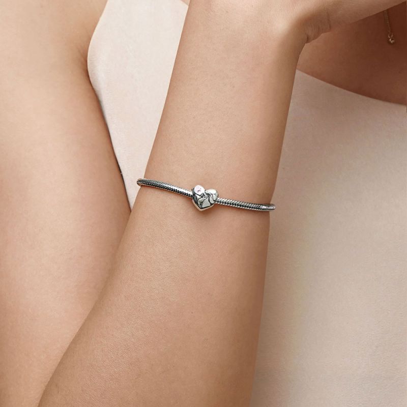 Pet Lover Charm