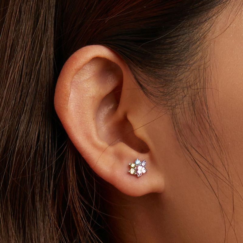 Colorful Zircon Paw Earrings