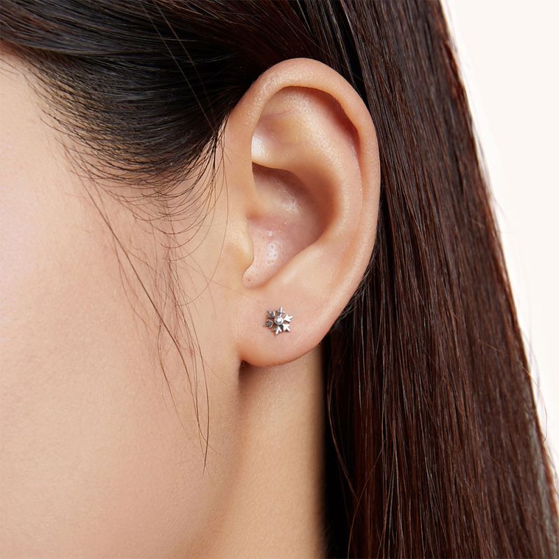 Snowflake Earrings