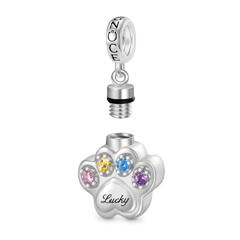 Pet Paw Memorial Urn Ashes Pendant