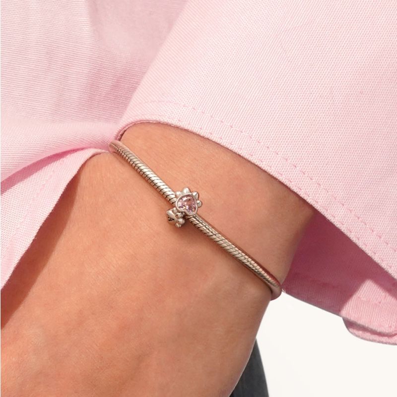 Pet Paw Charm