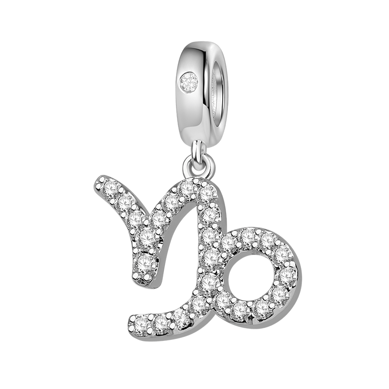 Capricorn Charm