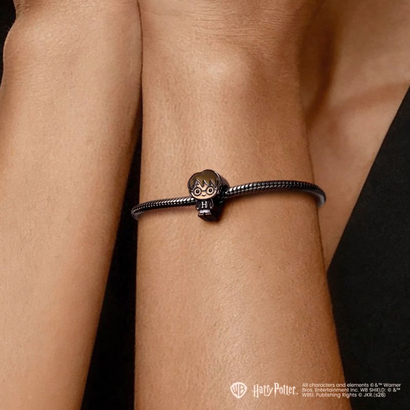 Harry Potter Charm