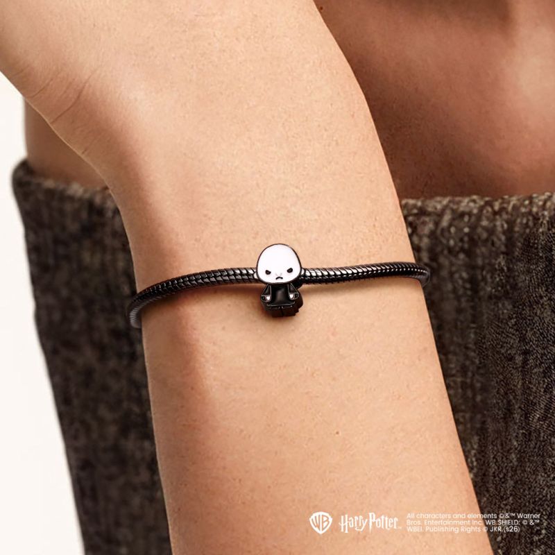 Lord Voldemort Charm