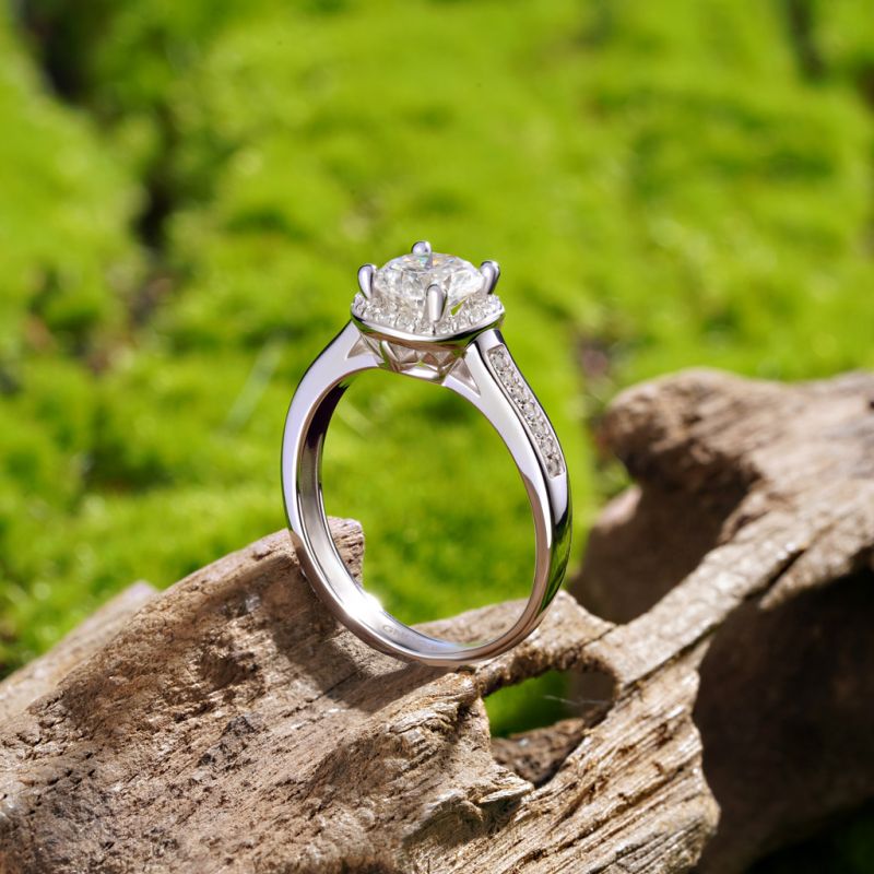 Shiny Round Halo VVS Moissanite Ring