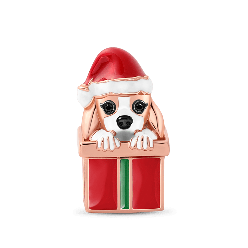 Dog with Gift Box