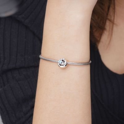 Family Theme Charm