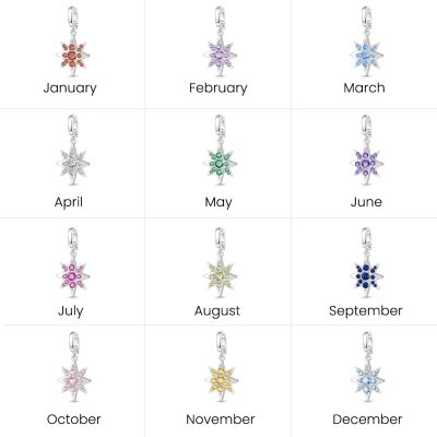 North Star Clasp Clusters Charm