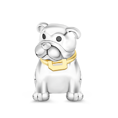 Handsome Bulldog