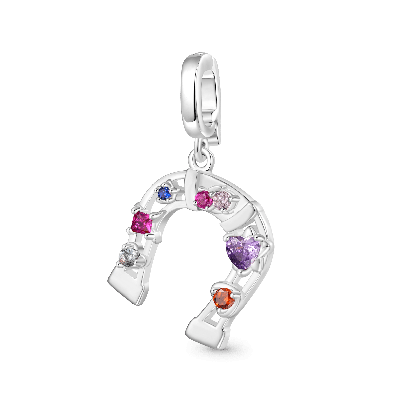 Horseshoe Clasp Clusters Charm