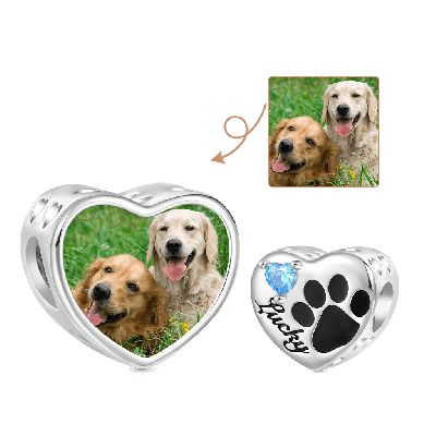 Loving Pet Paw Photo Charm