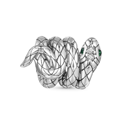 Coiled Snake Charm
