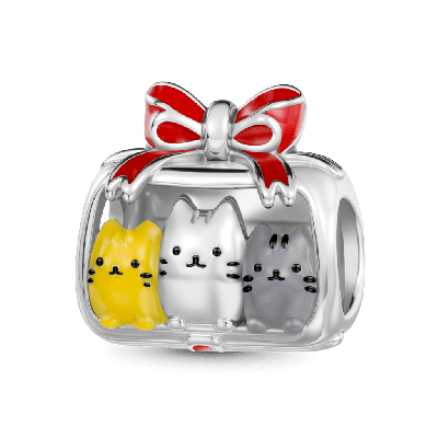 Cats Gift Box Charm