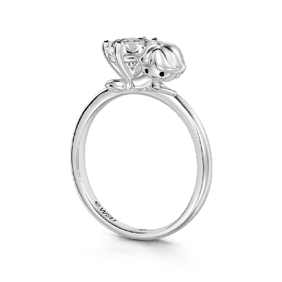 Ron Weasley Embraces Ring