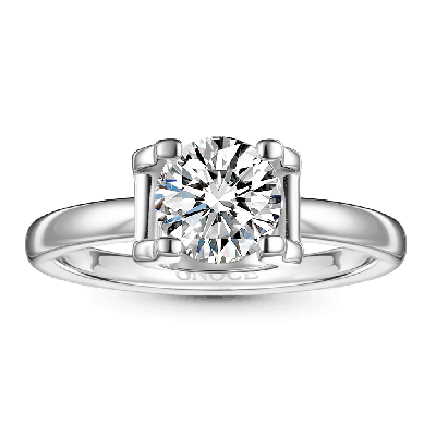 Eternity 1Ct Round Halo Moissanite Ring